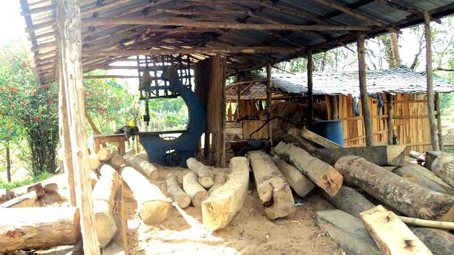 শায়েস্তাগঞ্জে অবৈধ করাত কলের ছড়াছড়ি