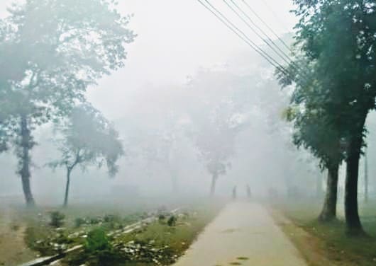 শীতের সকাল হবিগঞ্জ নিউজ হবিগঞ্জে বইছে মৃদু শৈত্য প্রবাহ