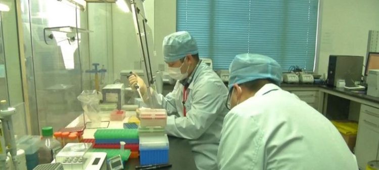 করোনার ভ্যাকসিন আবিস্কার, প্রথম প্রয়োগে রোগী সুস্থ বলে দাবি চিকিৎসকের