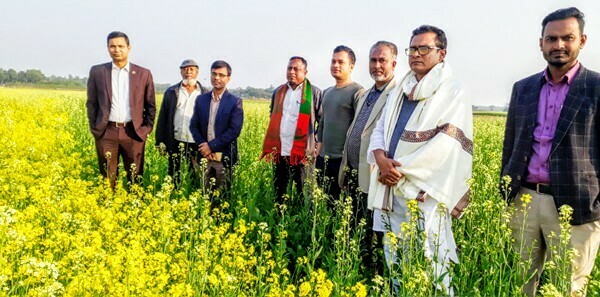 বানিয়াচংয়ে ১৩শ ১০ হেক্টর জমিতে রবিশস্য আবাদ