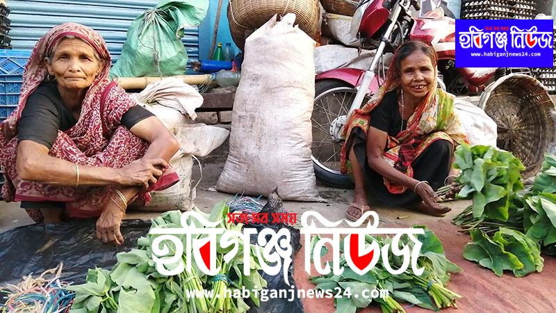 শাক-কচু বিক্রি করে আজ একবেলা ভাত জোটে তাদের
