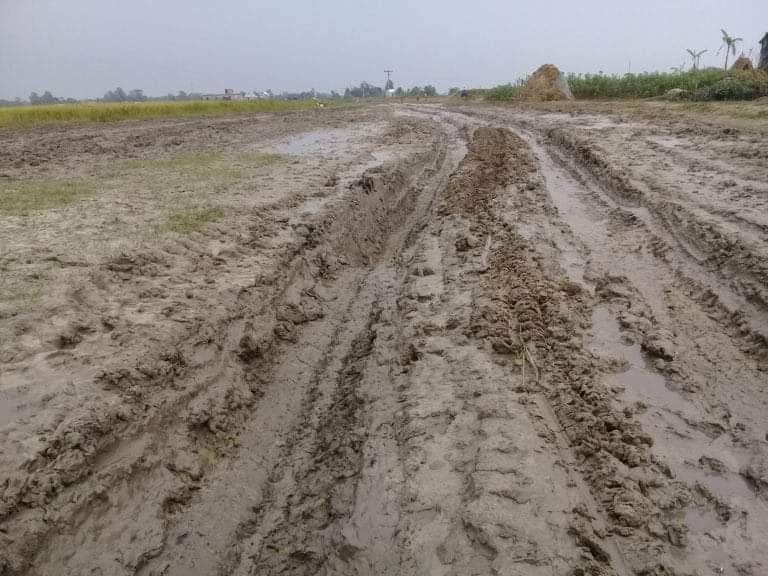 আজমিরীগঞ্জে বেহাল রাস্তা ফলে বিপাকে কৃষকরা