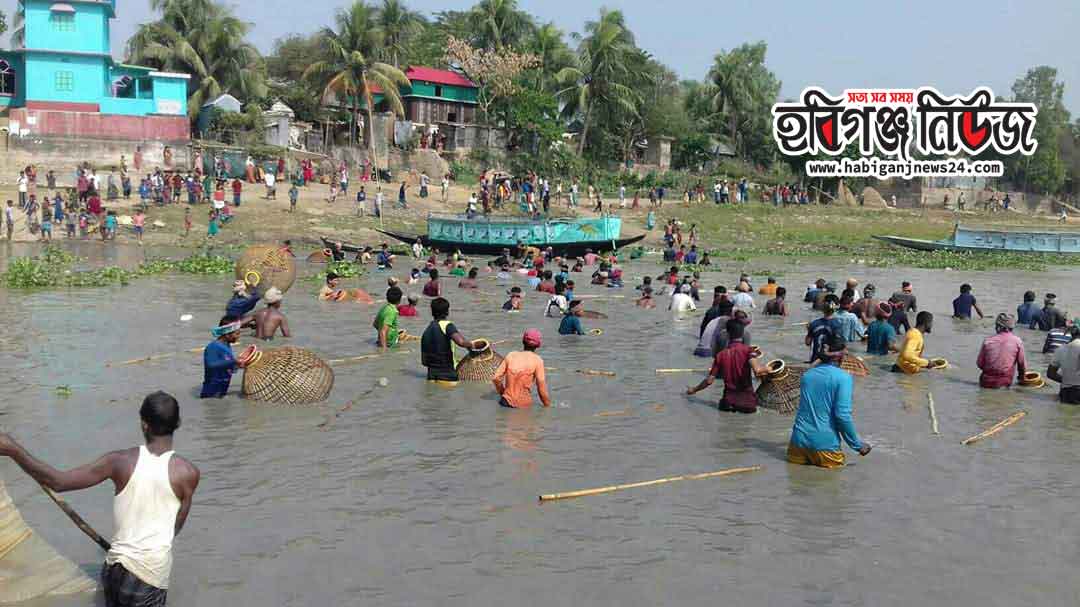 বানিয়াচংয়ে-অনুষ্ঠিত-হলে-পলো-বাইচ বানিয়াচংয়ে অনুষ্ঠিত হলে