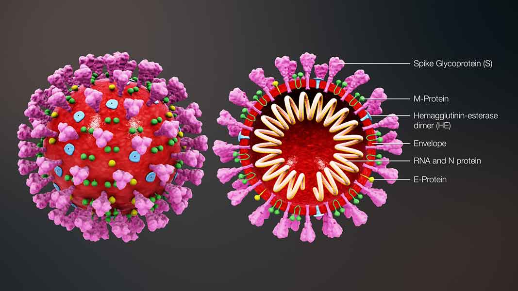 বিশ্বে করোনায় মৃত ৬ লাখ ৫৯ হাজার