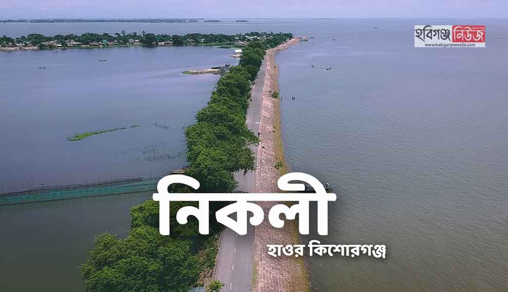 চলুন নিকলী হাওর ঘুরে আসি