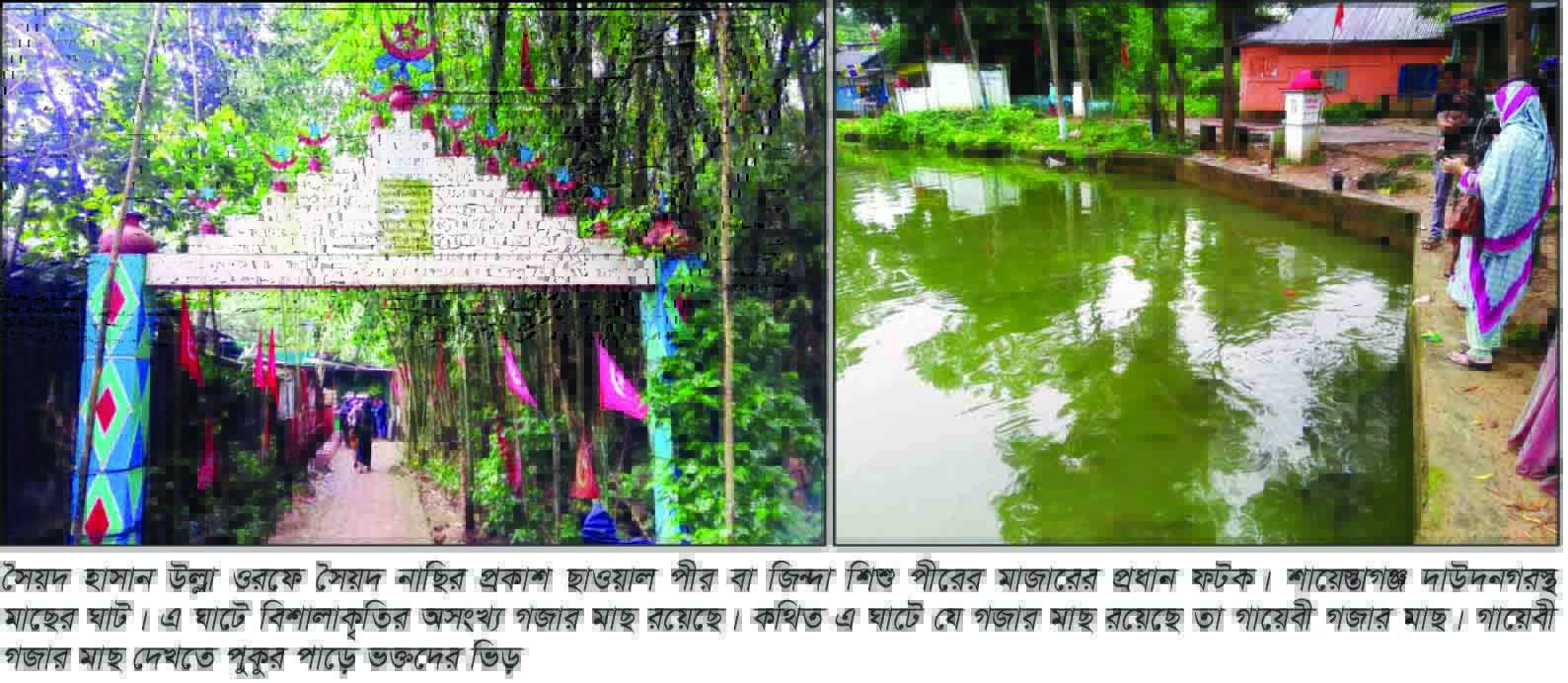 শায়েস্তাগঞ্জের ইতিহাস ঐতিহ্যের অংশ ছাওয়াল পীর