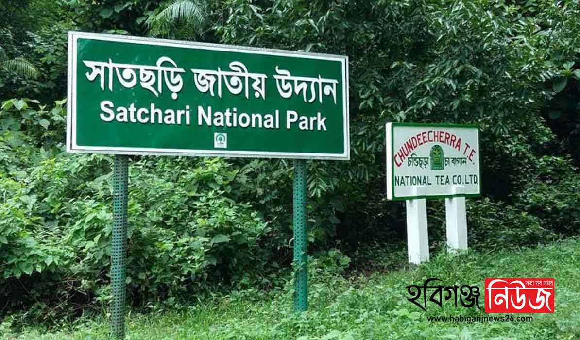 Satchari-National-Park-Habiganj-news-24