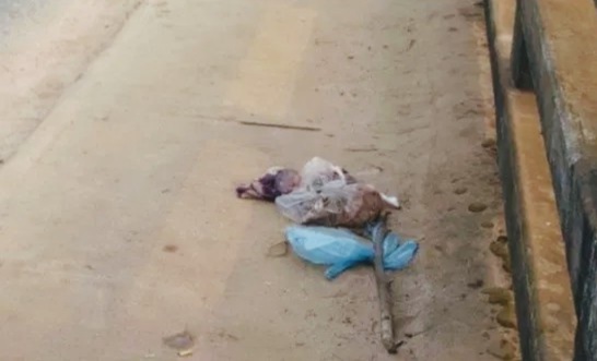 বাহুবল মহাসড়কে নবজাতকের লাশ উদ্ধার