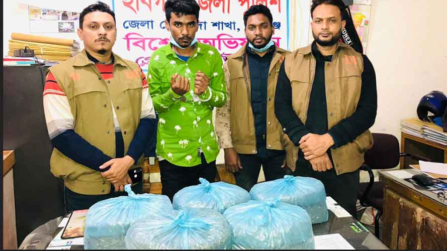 শায়েস্তাগঞ্জে গাঁজাসহ আটক ১