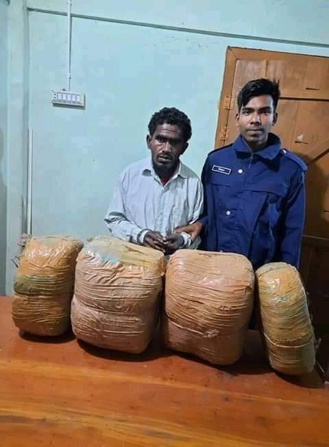 মাধবপুরে ১২ কেজি গাঁজা সহ মাদক ব্যবসায়ী গ্রেপ্তার