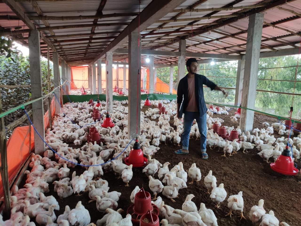 পইলে পোল্ট্রি খামার করে সফলতার স্বপ্ন দেখছেন কলেজ ছাত্র রাসেল