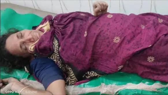 সদর উপজেলার সুলতানশী গ্রামে মামলা করায় গৃহবধূকে পিটিয়ে আহত