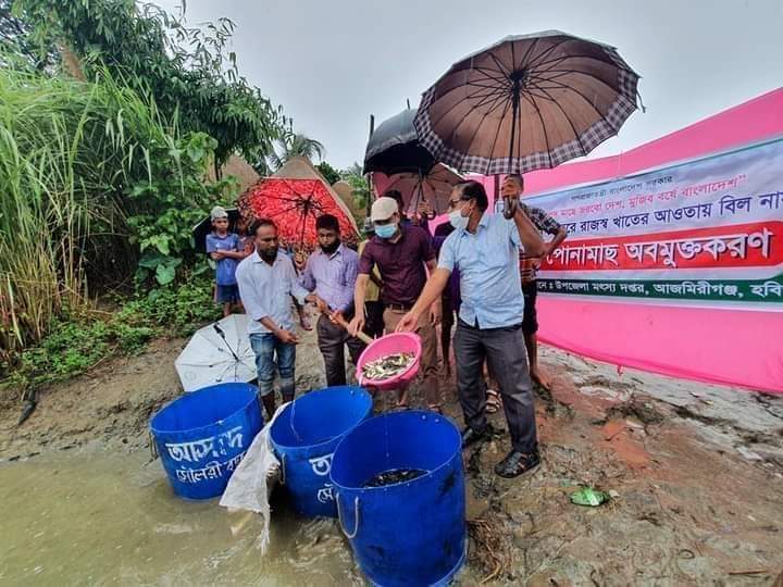 কাকাইলছেওয়ে রেনু থেকে রুপান্তরিত মাছের পোনা নদীতে অবমুক্ত করলেন ইউএনও