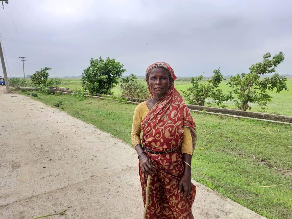 রাখালের কাজ করে জীবন চলে লাখাইর বিধবা রমজান বিবি রাখালের কাজ করে জীবন চলে লাখাইর বিধবা রমজান বিবি