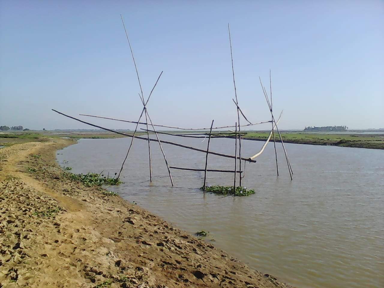 লাখাইর হাওরে দেখা নেই বর্ষার পানি : ব্যাহত আউশ ও ভুনা আমন ধান