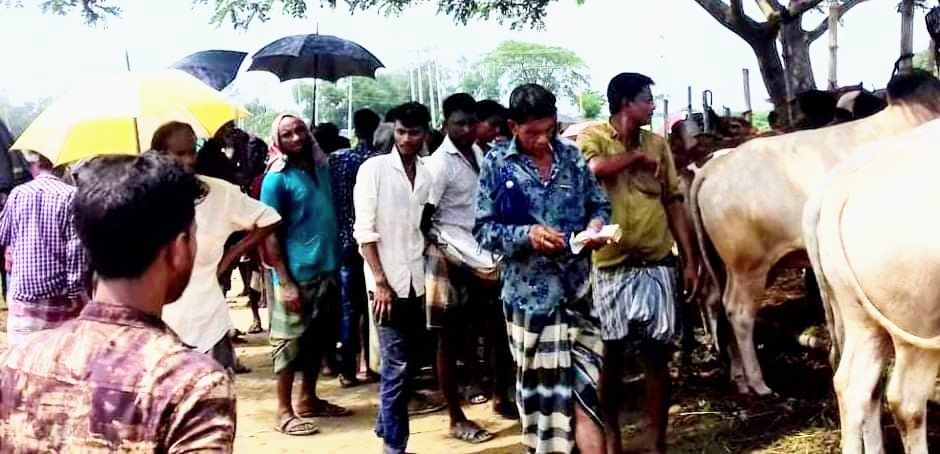 নবীগঞ্জে লকডাউনে জমে উটেছে পশুর হাট!
