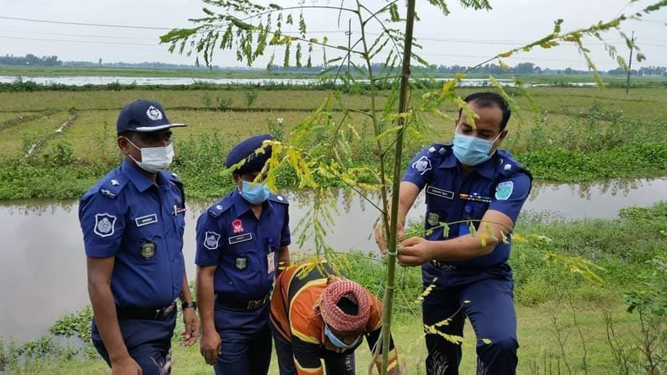 বানিয়াচংয়ে বৃক্ষরোপন কর্মসূচী পালিত