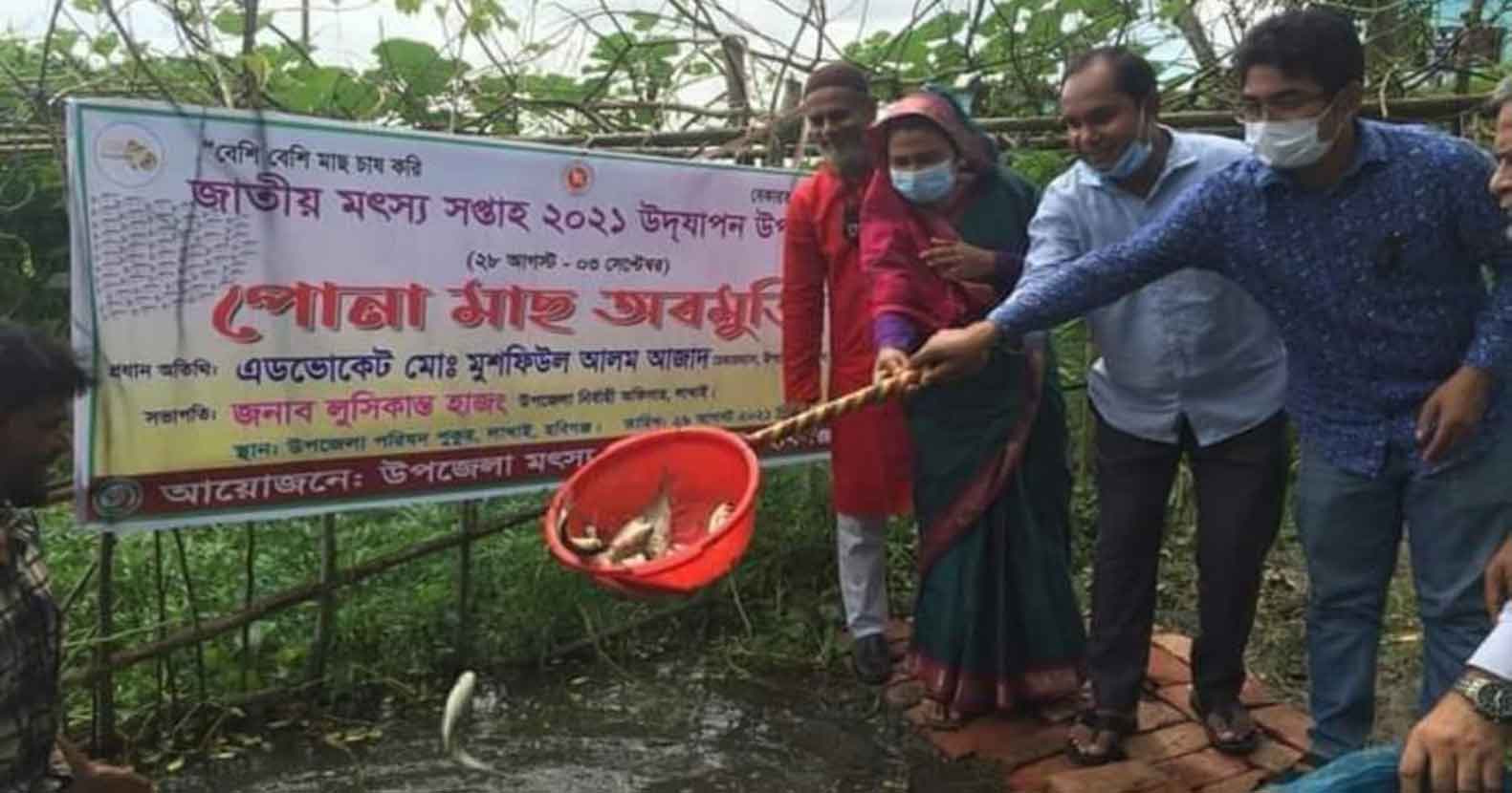 লাখাইয়ে পোনা মাছ অবমুক্ত করে মৎস্য সপ্তাহ উদ্বোধন