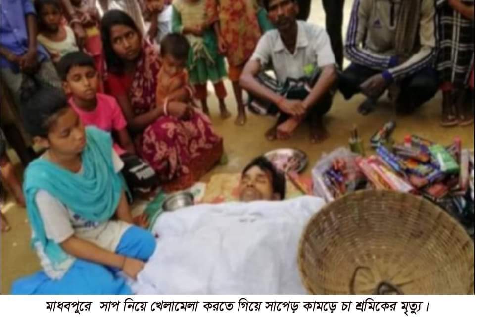 মাধবপুরে সাপেড় কামড়ে চা শ্রমিকের মৃত্যু