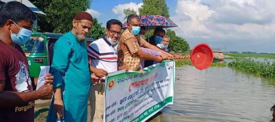 লাখাইয়ে প্লাবন ভূমিতে পোনামাছ অবমুক্তকরণ