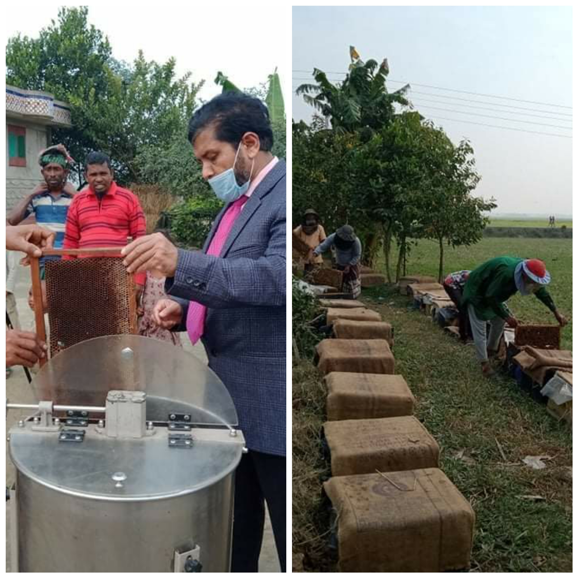 হবিগঞ্জের লাখাইয়ে আনুষ্ঠানিকভাবে মধু সংগ্রহ শুরু