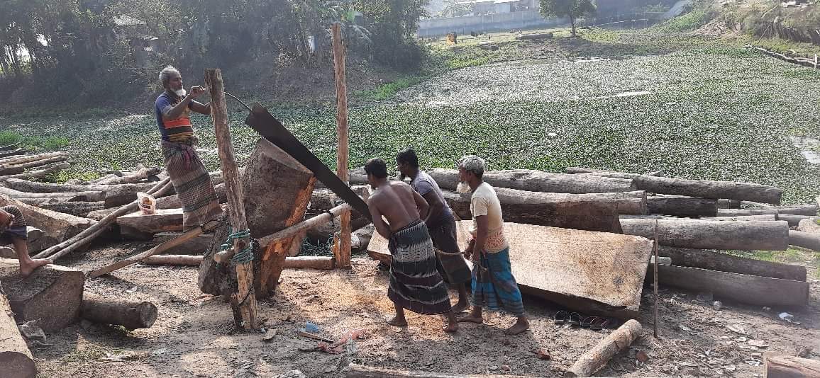 করাতীদের দূর্দিন চলছে, অভাবে পেশা বদল