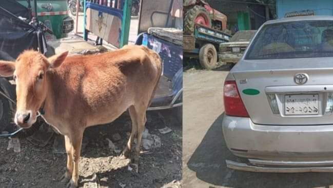 প্রাইভেটকারে চড়ে গরু চুরি করার সময় পুলিশের হাতে আটক