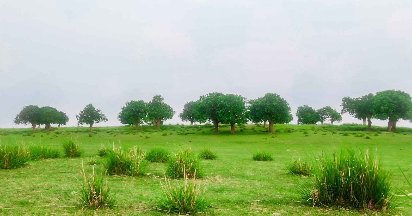 স্থানটির নাম বাগারিয়া (3) স্থানটির নাম বাগারিয়া