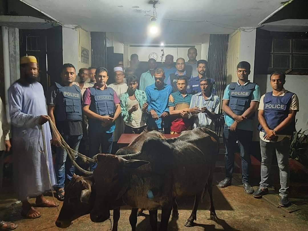 বানিয়াচংয়ে লাইটেস দিয়ে গরু চুরি করার সময় চোর গ্রেফতার