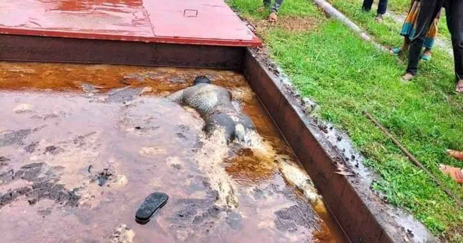 মাধবপুরে নিখোঁজের দুই দিন পর যুবকের লাশ উদ্ধার (2) মাধবপুরে নিখোঁজের দুই দিন পর যুবকের লাশ উদ্ধার