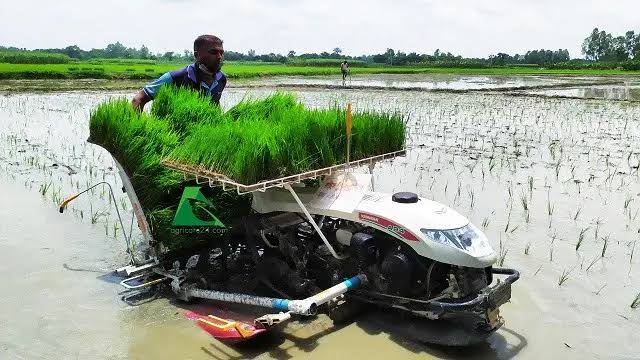 শায়েস্তাগঞ্জে বৃষ্টির পানিতে অর্ধ শতাধিক কৃষি জমি নষ্ট