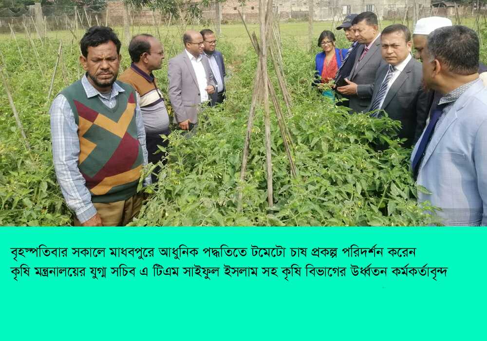 মাধবপুরে কৃষি প্রকল্প পরিদর্শন ও মাঠ দিবস অনুষ্ঠিত