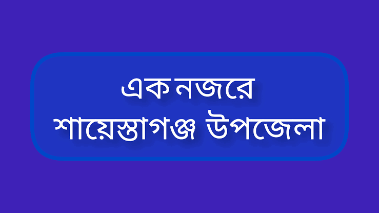 এক নজরে শায়েস্তাগঞ্জ উপজেলা নির্বাচন