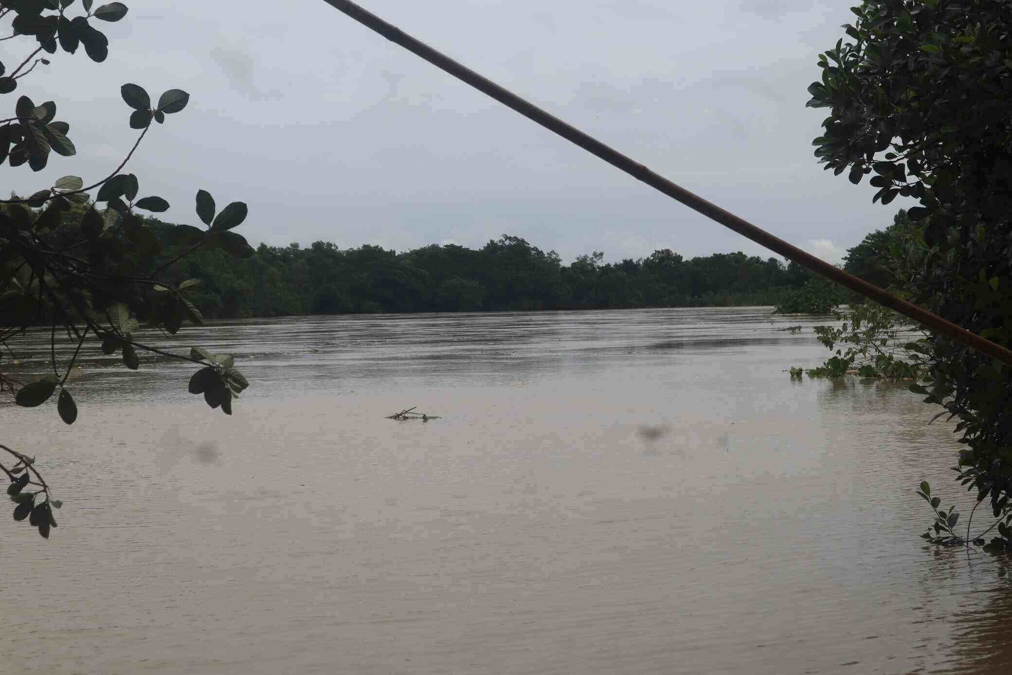 rsz_21img-20240822-wa0004