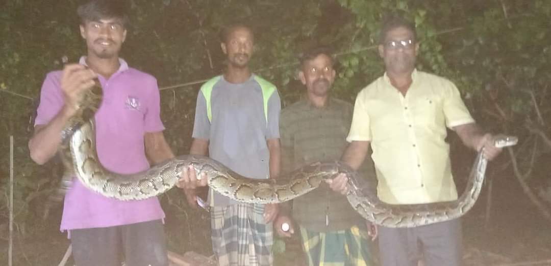 FB_IMG_1726249144101