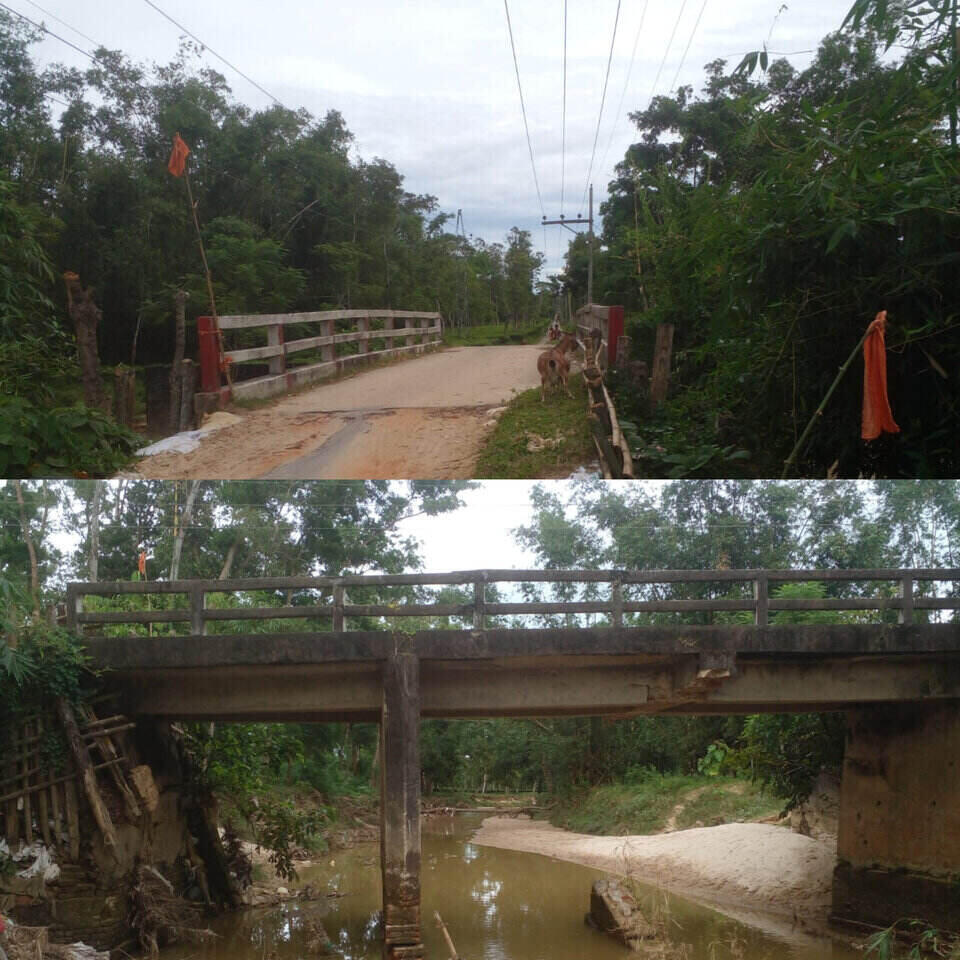 চুনারুঘাটে “শনিবাইর ব্রীজ” বীম ভেঙে পড়েছে! বিপাকে পরেছেন বাগান কর্তৃপক্ষ