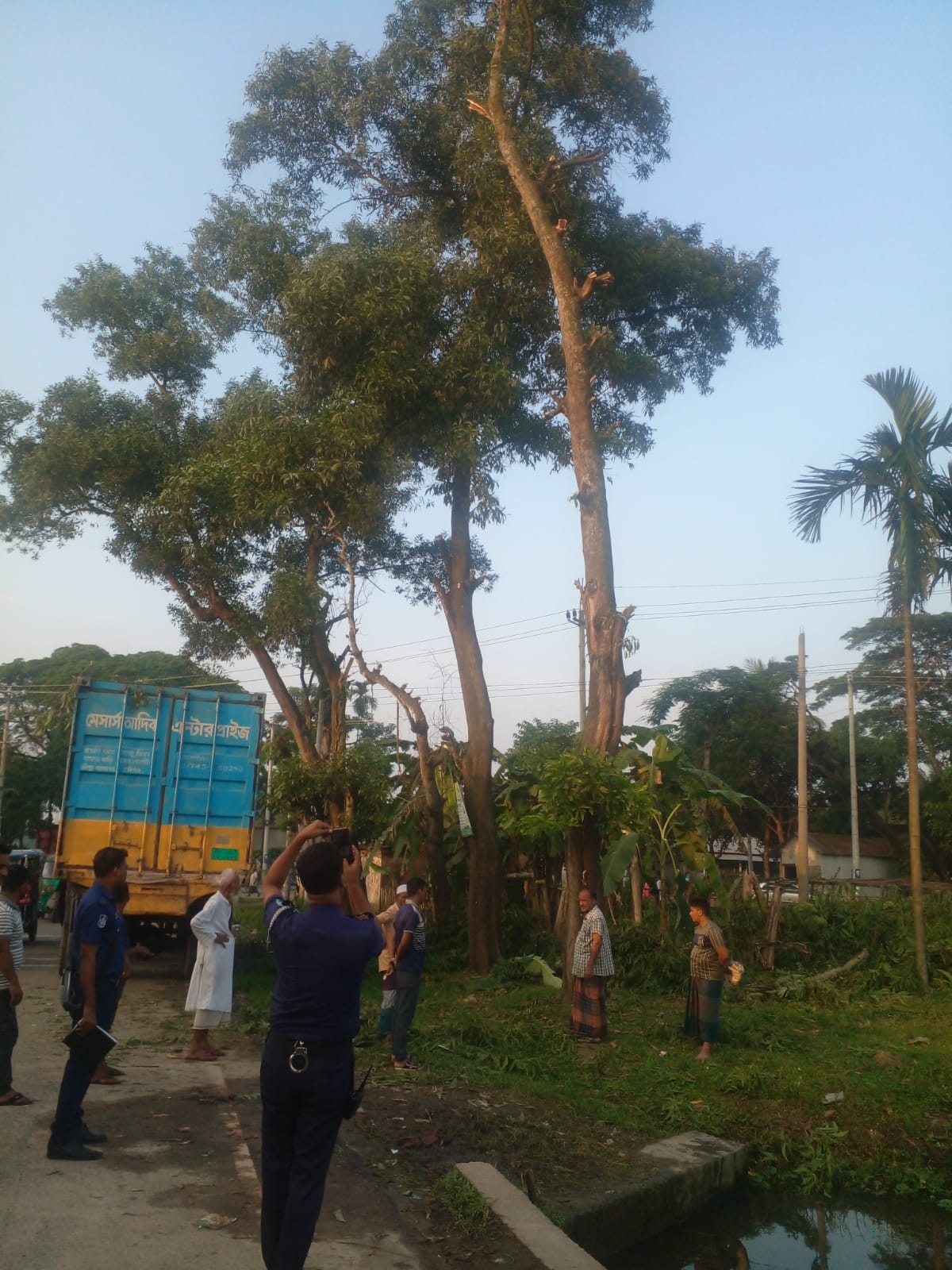 শায়েস্তাগঞ্জ সরকারি খাস জায়গায় গাছ কর্তন ; পুলিশের অভিযান