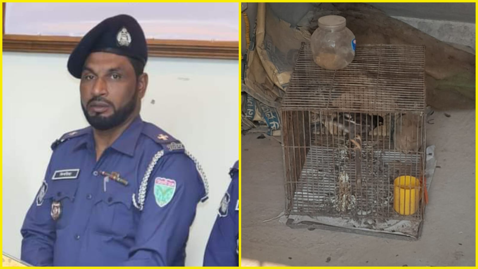 বন্যপ্রাণী আইন লঙ্ঘন করে পুলিশ কর্মকর্তার বন্যপাখি পালন; সতর্ক করলেন বন বিভাগ