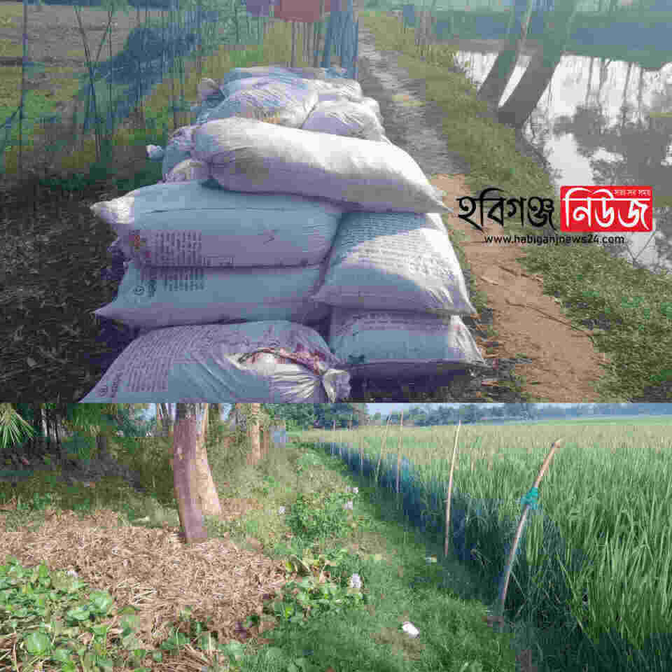 মাধবপুরে সরকারি রাস্তা দখল, ভোগান্তিতে ২২ পরিবার!