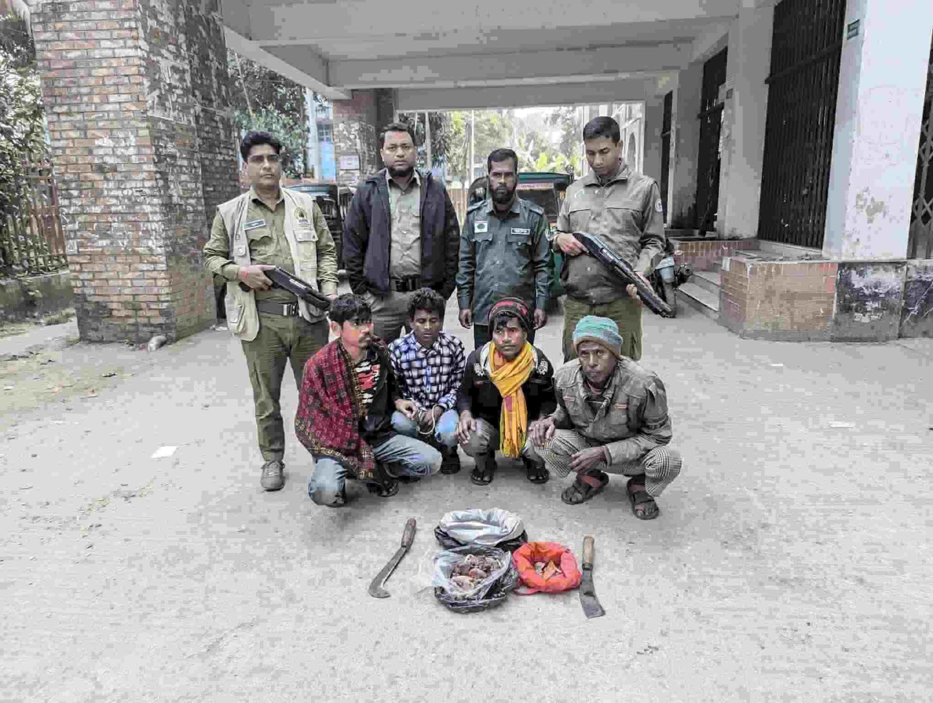 সাতছড়িতে বন্য শূকরের মাংস ভাগাভাগির সময় ৪ শিকারি গ্রেপ্তার