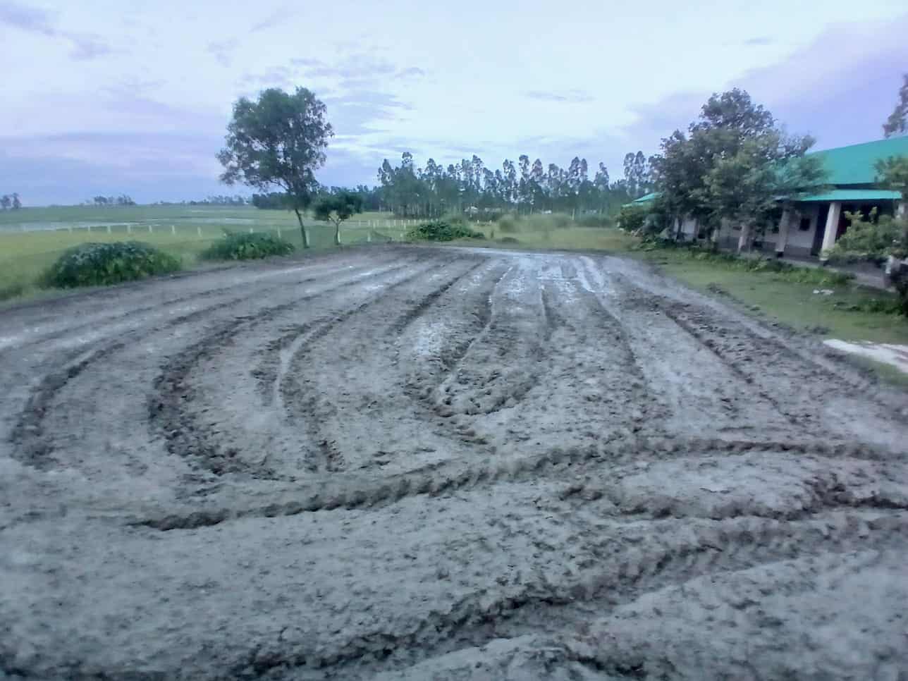 লাখাইয়ে কলেজের মাঠে ধান চাষের প্রস্তুতি, সাংবাদিককে বিদ্যুৎ বিল দেওয়ার চাপ অধ্যক্ষের