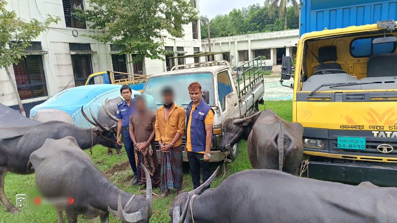 FB_IMG_1762250377691