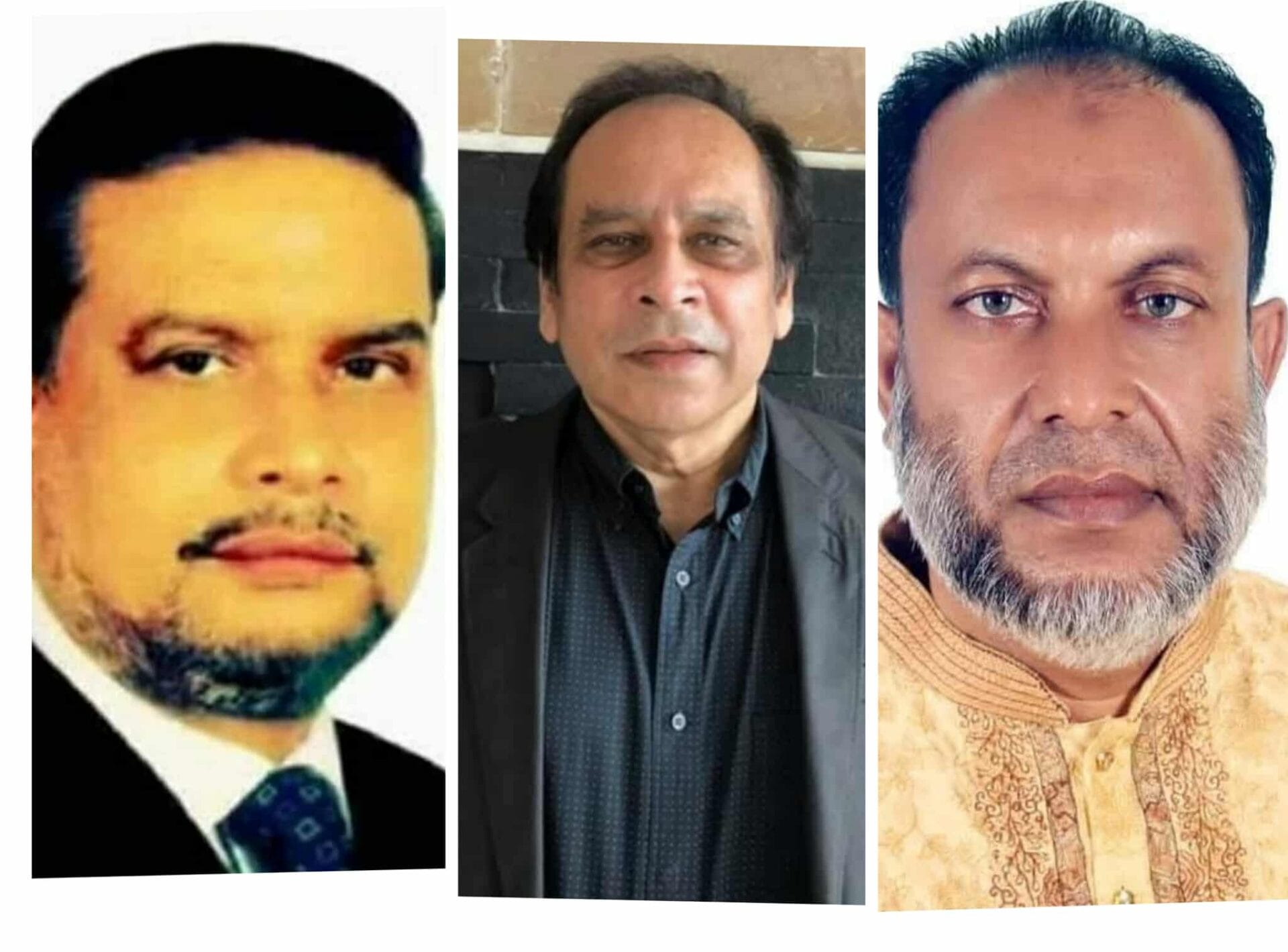 হবিগঞ্জ–১ (নবীগঞ্জ–বাহুবল) আসনে ধানের শীষ মনোনয়ন দৌড়ে তিন প্রার্থী