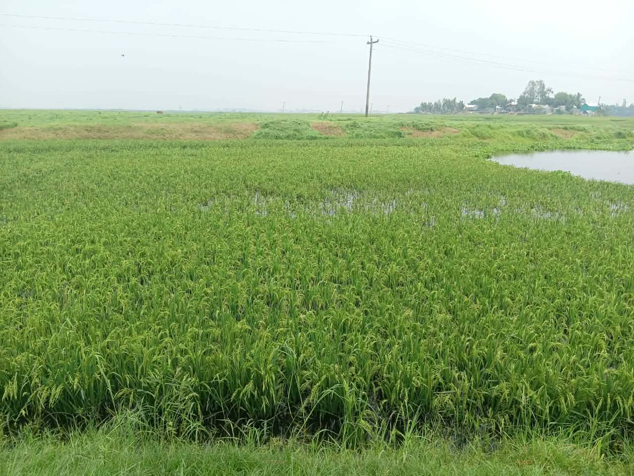 received_2071746773375523