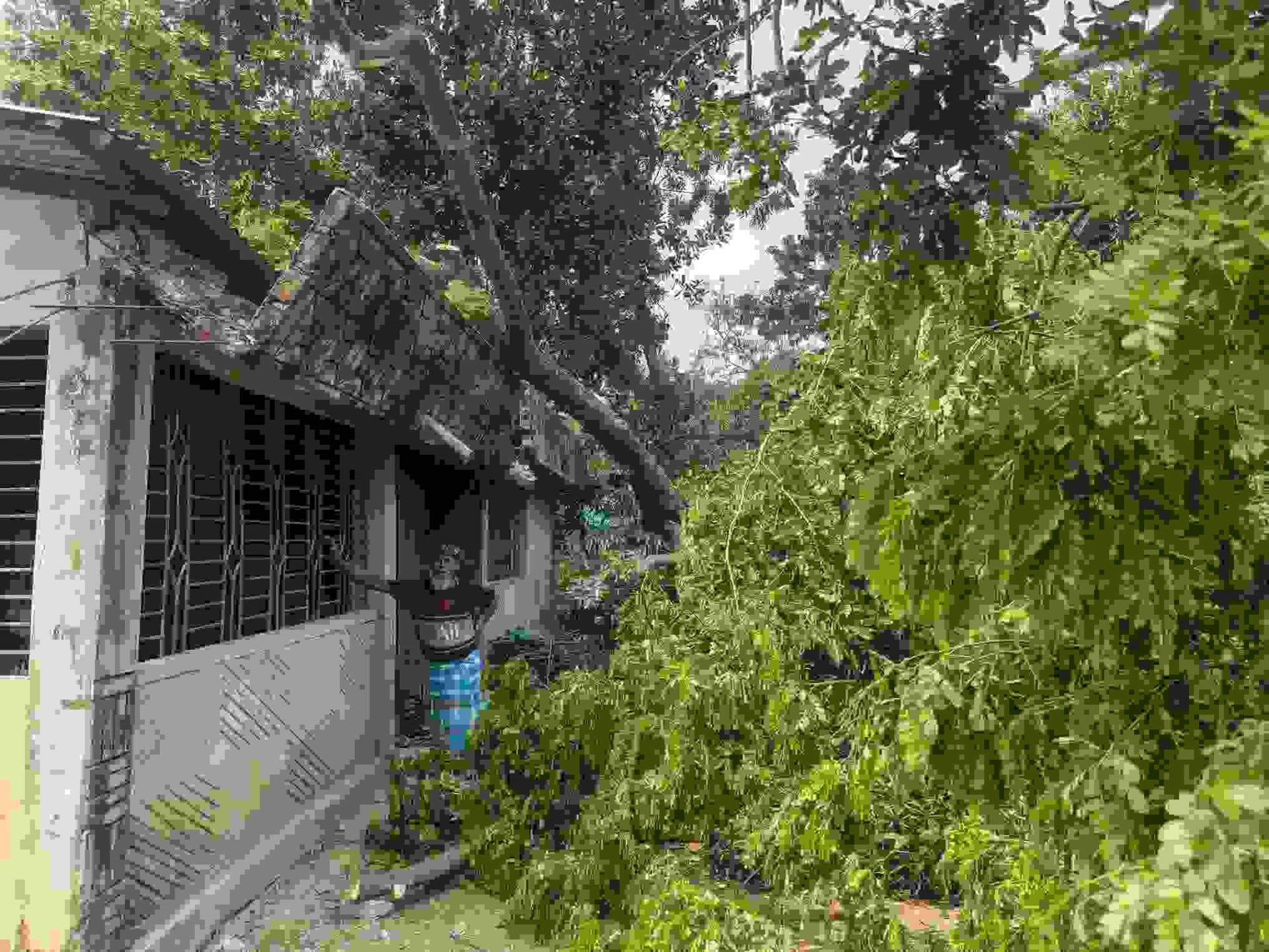 rsz_img-20260406-wa0011