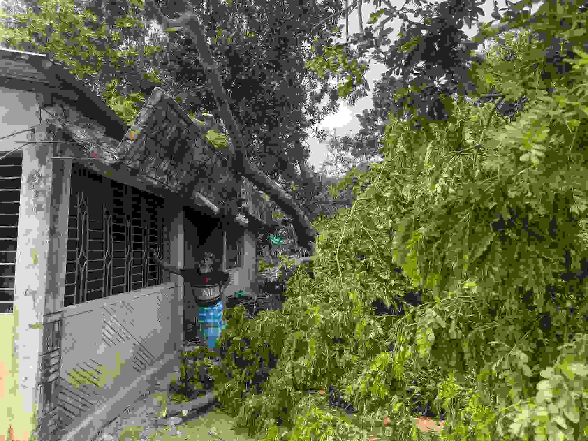 rsz_img-20260406-wa0011