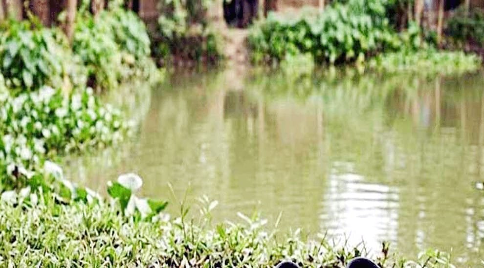শায়েস্তাগঞ্জে পুকুরে ডুবে দুই ভাইয়ের মর্মান্তিক মৃ ত্যু শায়েস্তাগঞ্জে পুকুরে ডুবে দুই ভাইয়ের মর্মান্তিক মৃ ত্যু