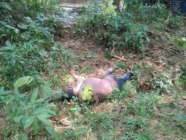 বাহুবলের নিখোঁজ সিএনজি চালক তুহিনের মরদেহ উদ্ধার নবীগঞ্জে বাহুবলের নিখোঁজ সিএনজি চালক তুহিনের লাশ